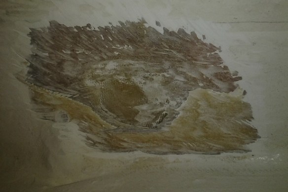 Interior view of the patch is still rough and a small gap appears between the patch and hull.